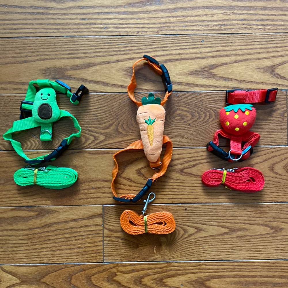 Small animal harness’s.